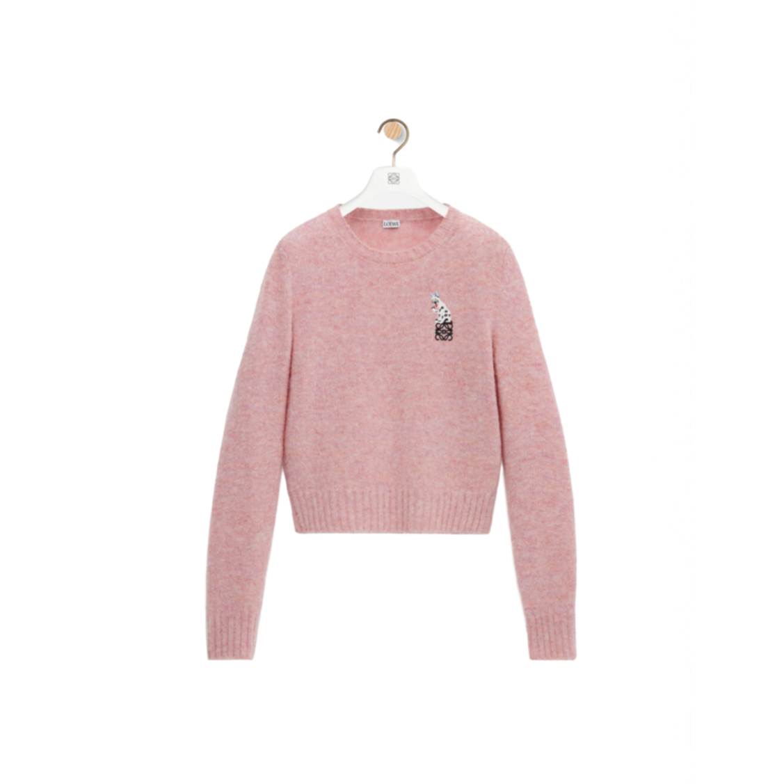 LOEWE X LOUIS WAIN SWEATER IN WOOL S359Y14KI9